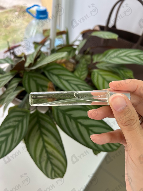 Духи Collection Extraordinaire California Reverie от Van Cleef & Arpels