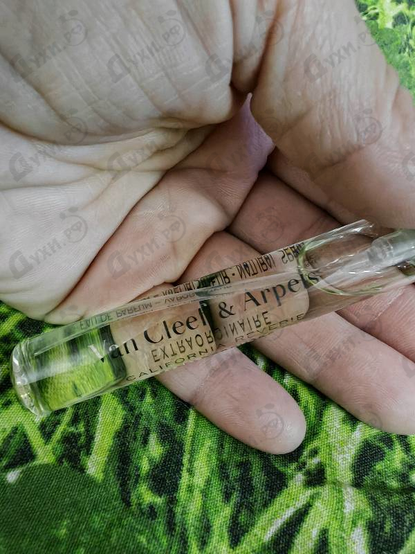 Отзыв Van Cleef & Arpels Collection Extraordinaire California Reverie