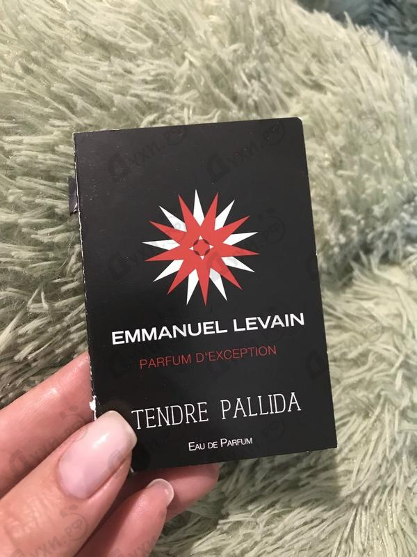 Купить Emmanuel Levain Tendre Pallida