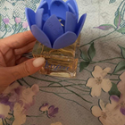 Отзыв Blumarine Ninfea