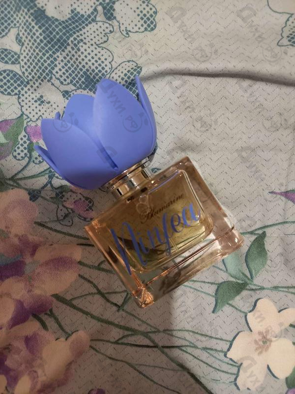 Купить Blumarine Ninfea