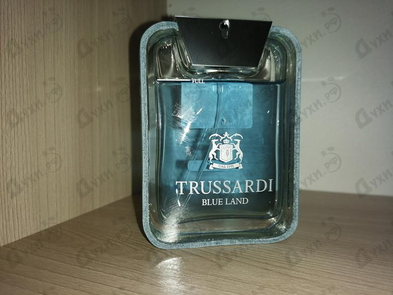 Купить Trussardi Blue Land