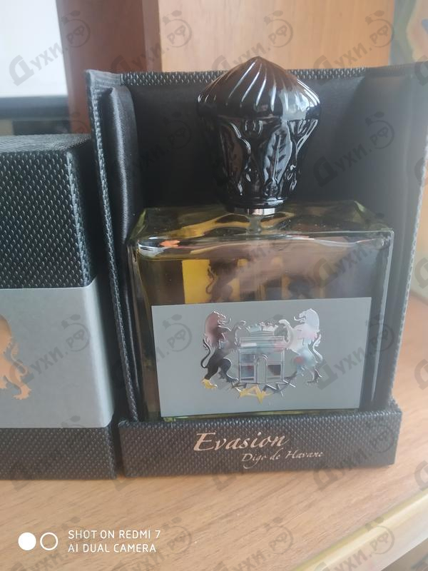 Отзывы L'Arc Evasion Digo De Havane