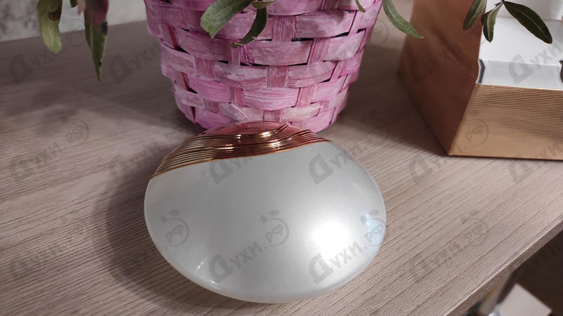 Парфюм Bvlgari Aqva Divina Духи Aqva Divina от Bvlgari