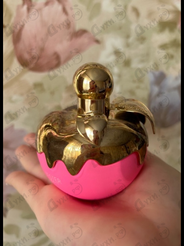 Купить Les Delices De Nina от Nina Ricci