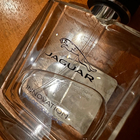 Отзыв Jaguar Innovation
