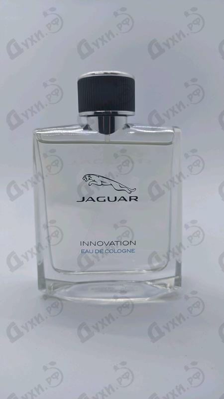 Отзывы Jaguar Innovation