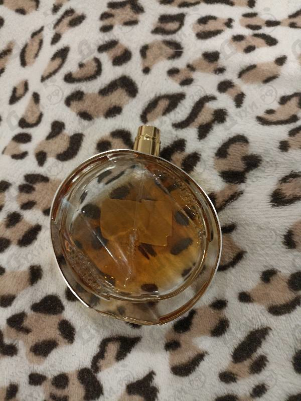 Парфюмерия Untold Absolu от Elizabeth Arden Купить Elizabeth Arden Untold Absolu