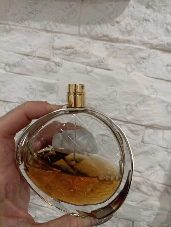 Парфюмерия Untold Absolu от Elizabeth Arden