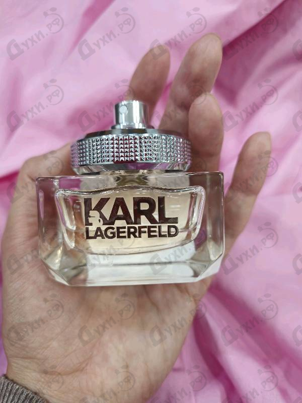 Купить Lagerfeld Karl Lagerfeld