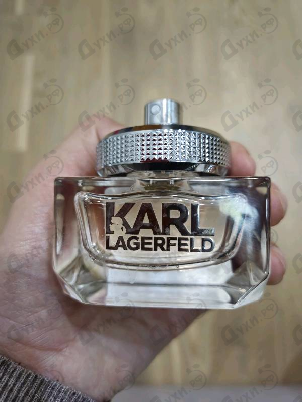 Купить Karl Lagerfeld от Lagerfeld