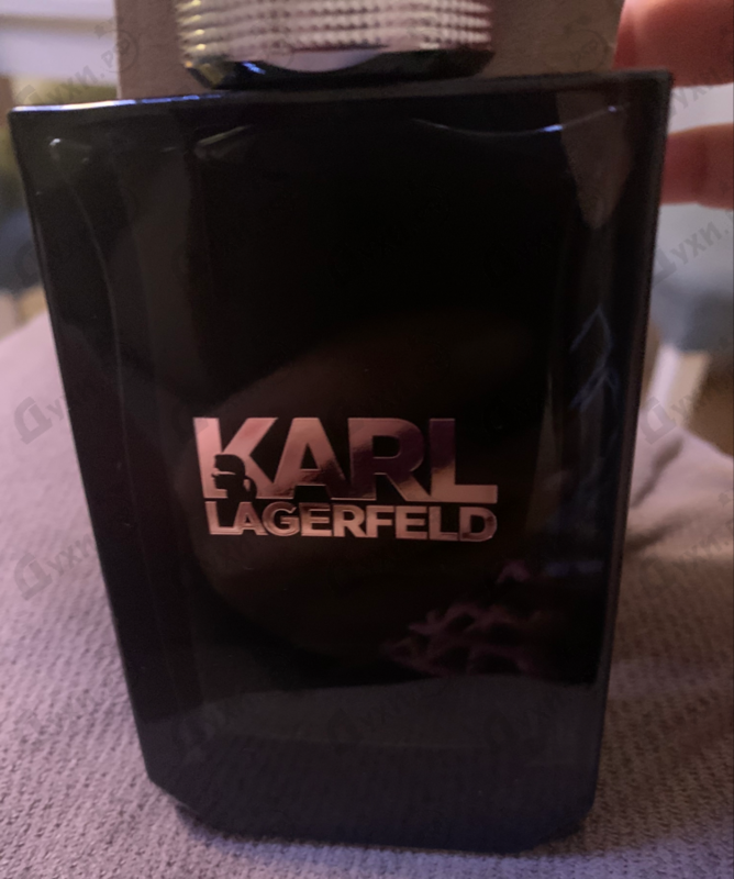 Купить Karl Lagerfeld от Lagerfeld