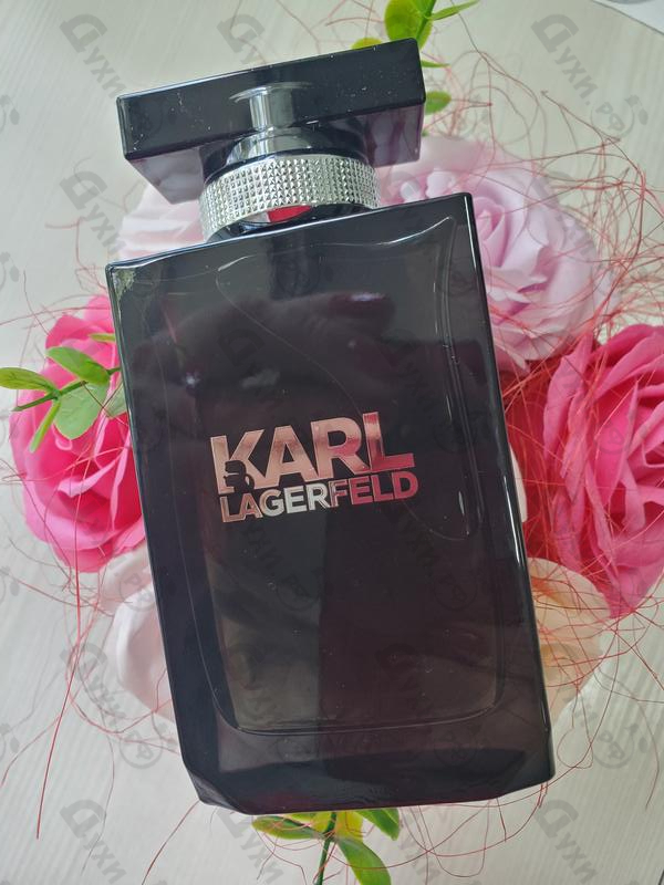 Отзыв Lagerfeld Karl Lagerfeld Купить Karl Lagerfeld от Lagerfeld