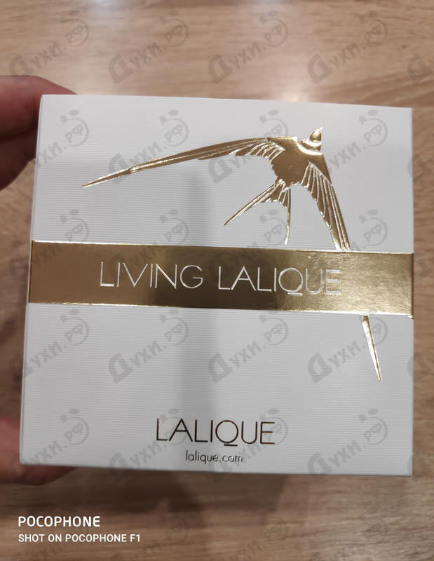 Отзыв Lalique Living