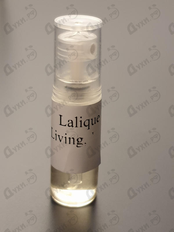 Отзыв Lalique Living