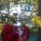 Отзыв Van Cleef & Arpels Feerie Rubis