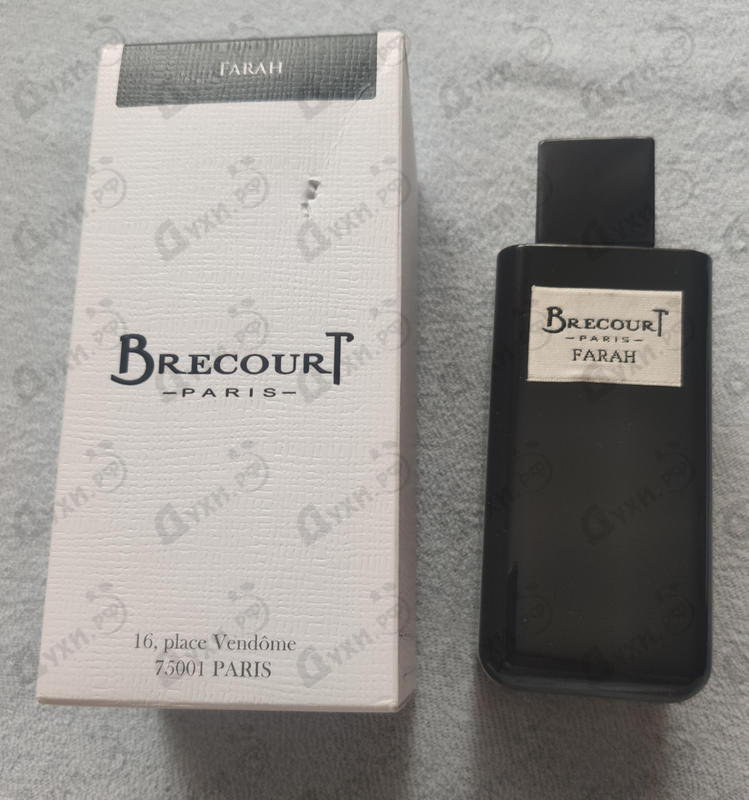 Купить Brecourt Farah