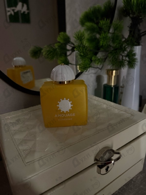 Купить Amouage Sunshine