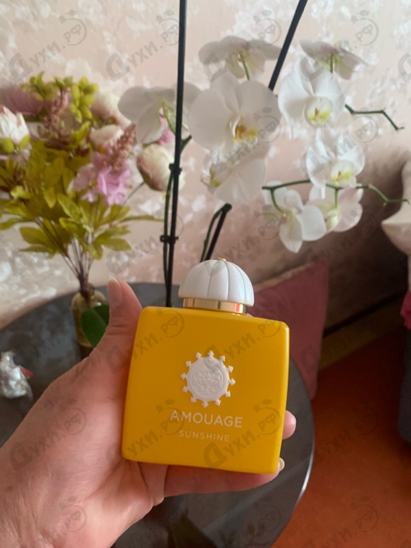 Купить Amouage Sunshine