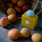 Отзывы Amouage Sunshine