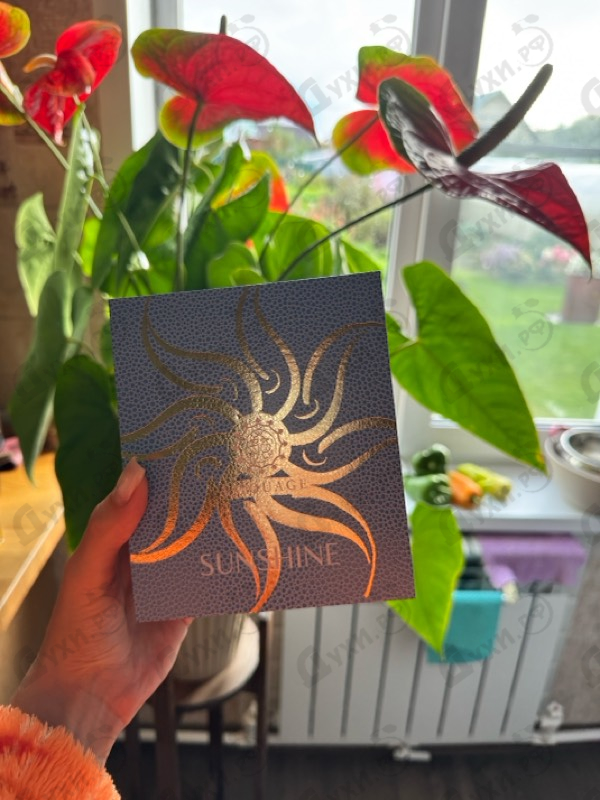 Парфюмерия Sunshine от Amouage