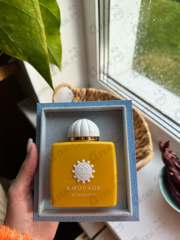 Купить Sunshine от Amouage