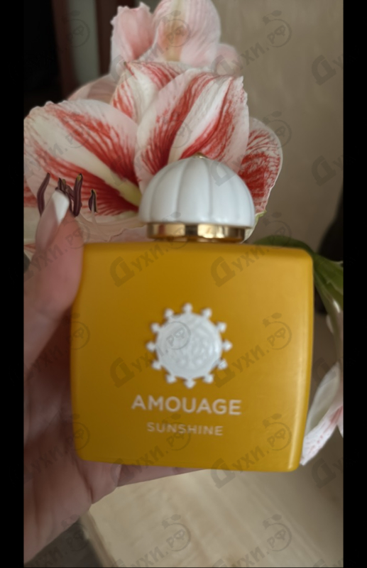 Отзывы Amouage Sunshine
