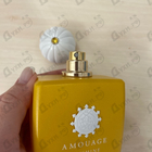 Отзыв Amouage Sunshine