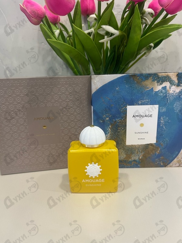 Купить Sunshine от Amouage