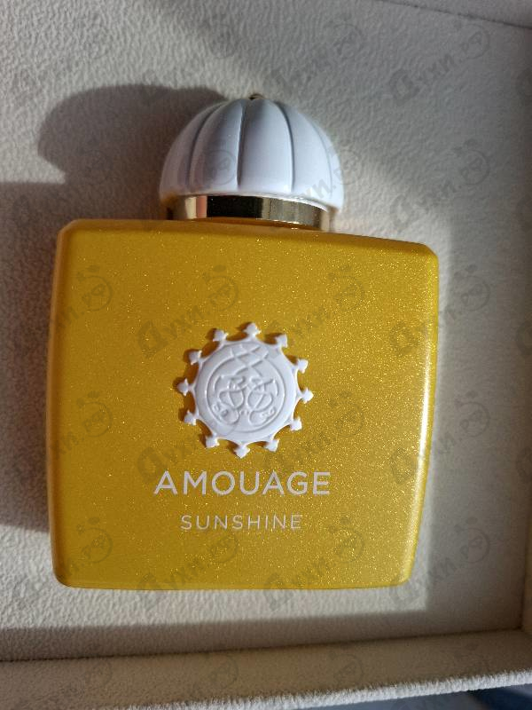 Купить Sunshine от Amouage