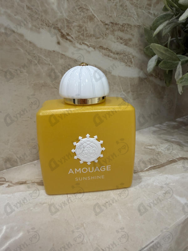 Купить Amouage Sunshine