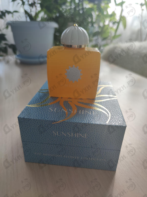 Купить Amouage Sunshine