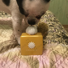 Отзывы Amouage Sunshine
