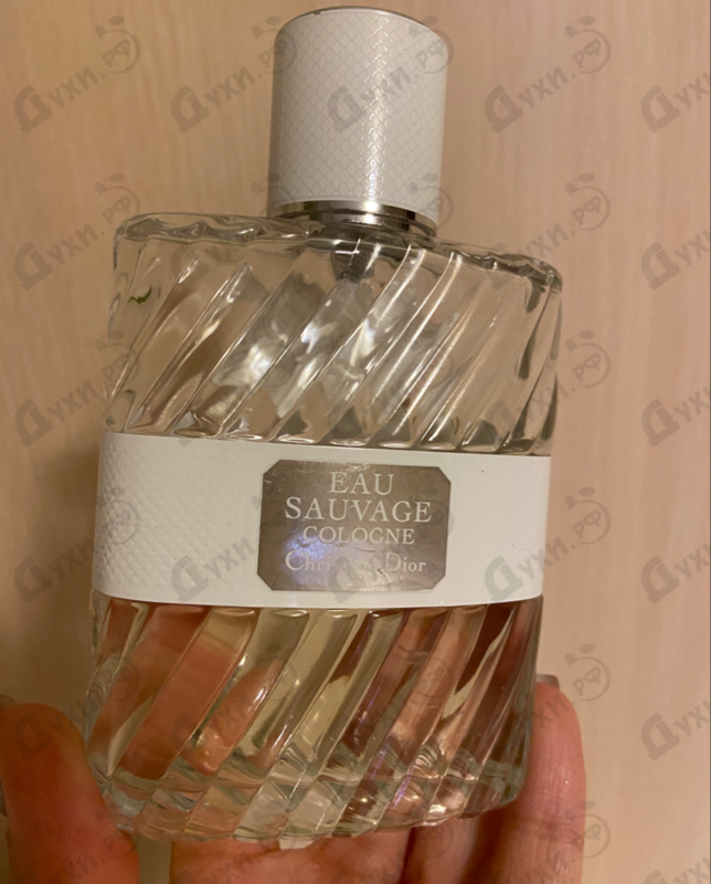 Купить Eau Sauvage Cologne от Christian Dior