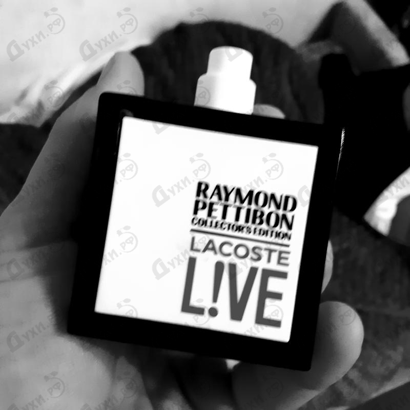 Купить Live Collector's Edition от Lacoste