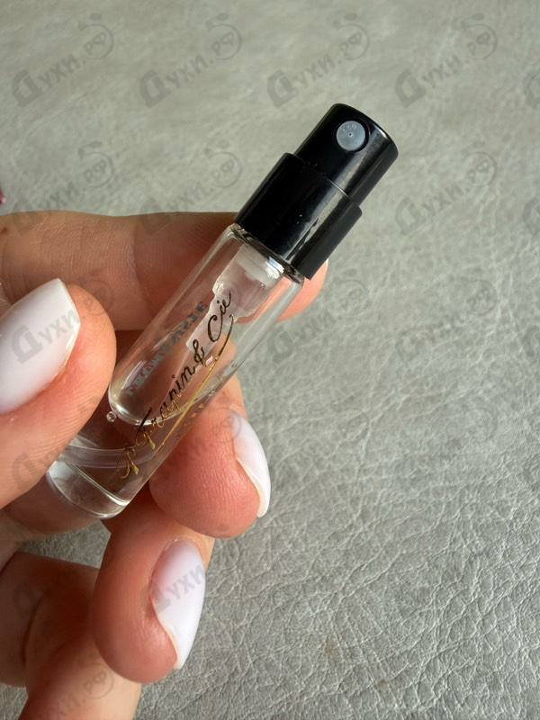 Духи L'humaniste от Frapin