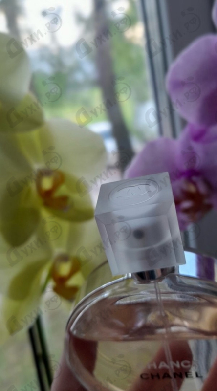 Купить Chanel Chance Eau Vive