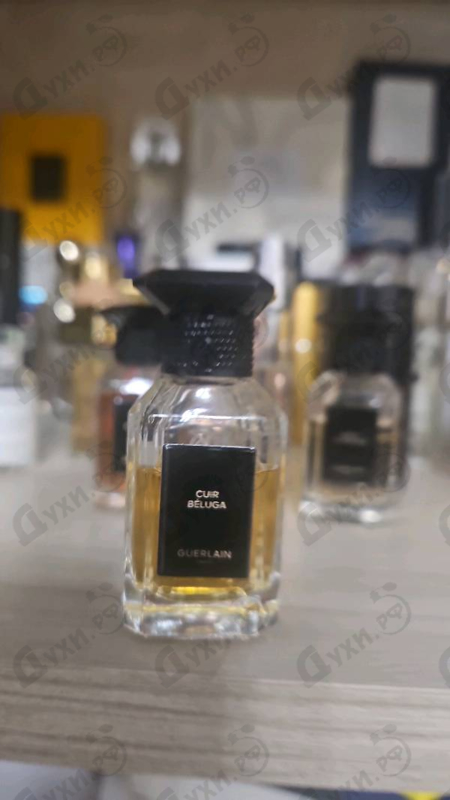 Духи Cuir Beluga от Guerlain