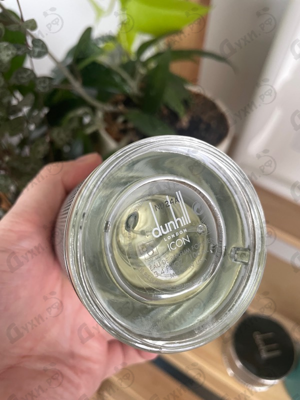 Купить Icon от Dunhill