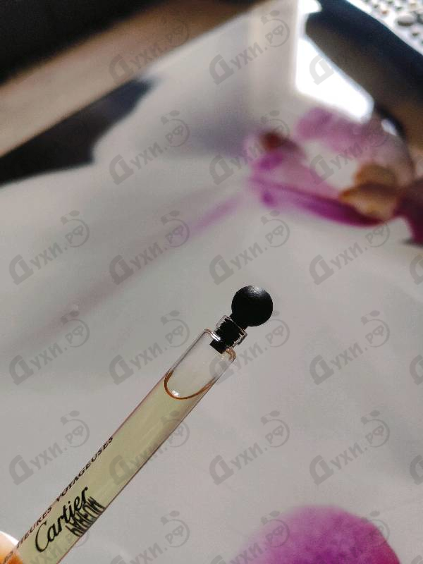 Отзыв Cartier Oud & Rose