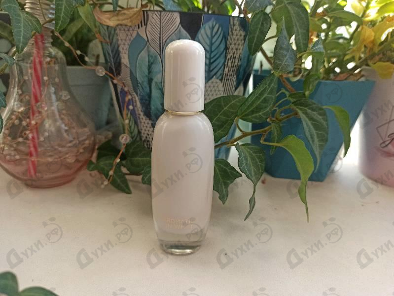 Отзыв Clinique Aromatics In White