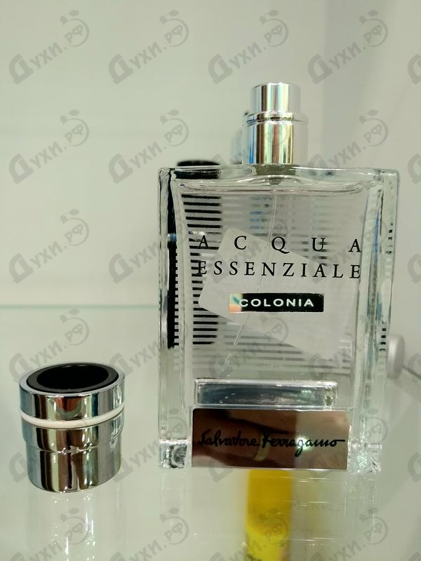 Парфюмерия Acqua Essenziale Colonia от Salvatore Ferragamo