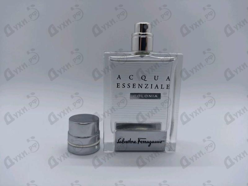 Духи Acqua Essenziale Colonia от Salvatore Ferragamo Отзывы Salvatore Ferragamo Acqua Essenziale Colonia