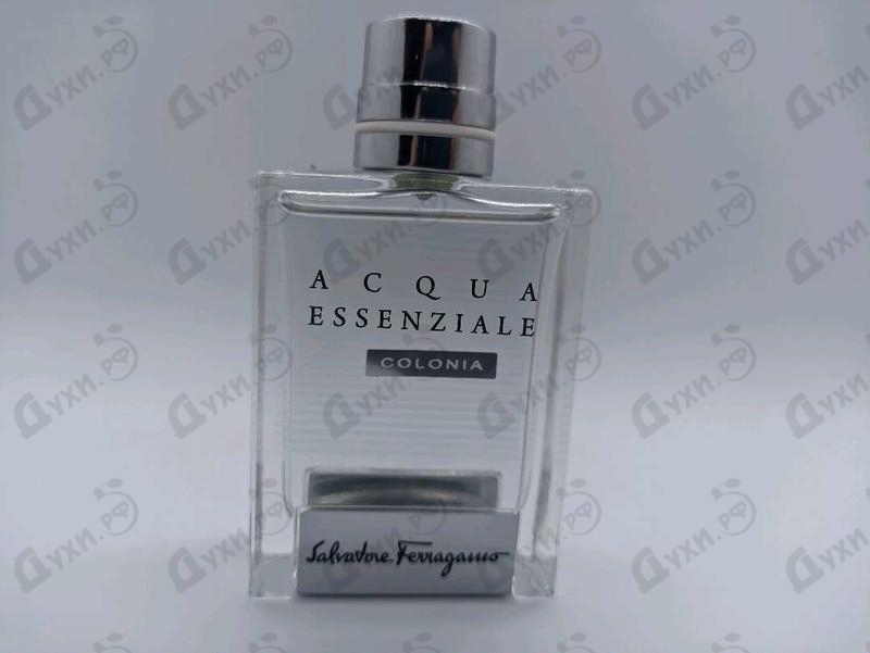 Купить Acqua Essenziale Colonia от Salvatore Ferragamo