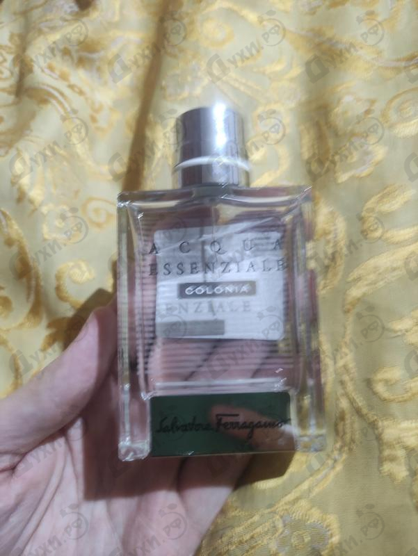 Отзыв Salvatore Ferragamo Acqua Essenziale Colonia Купить Acqua Essenziale Colonia от Salvatore Ferragamo
