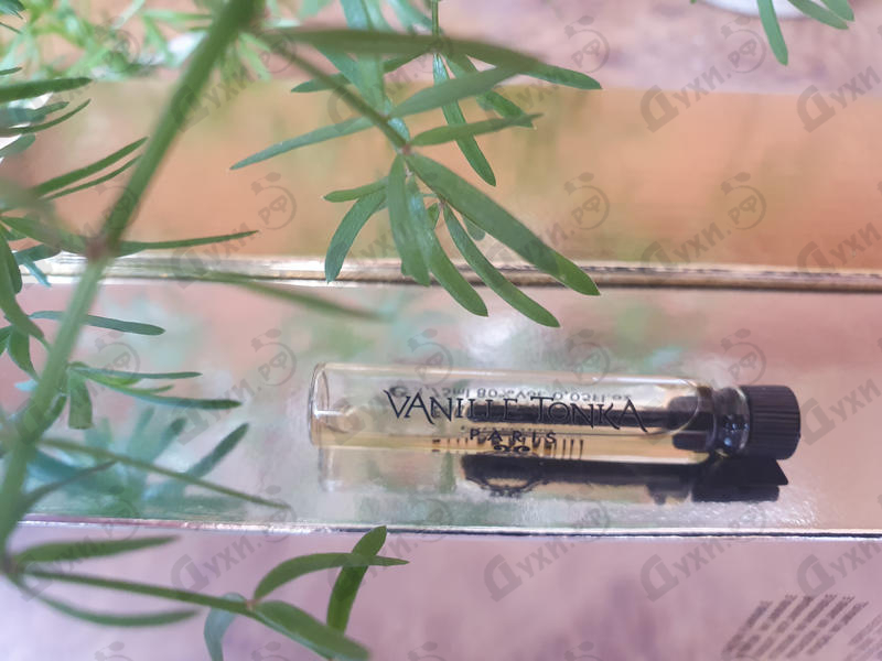 Купить Vanille Tonka от Remy Latour Парфюмерия Remy Latour Vanille Tonka