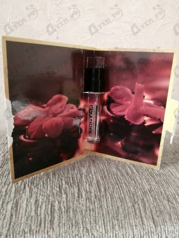 Отзывы Montale Aoud Sense