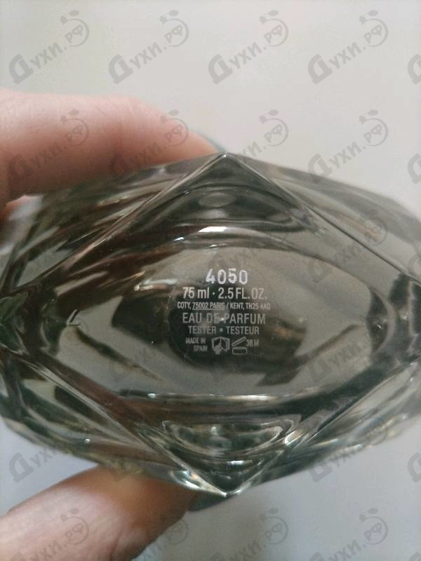 Отзывы Gucci Bamboo