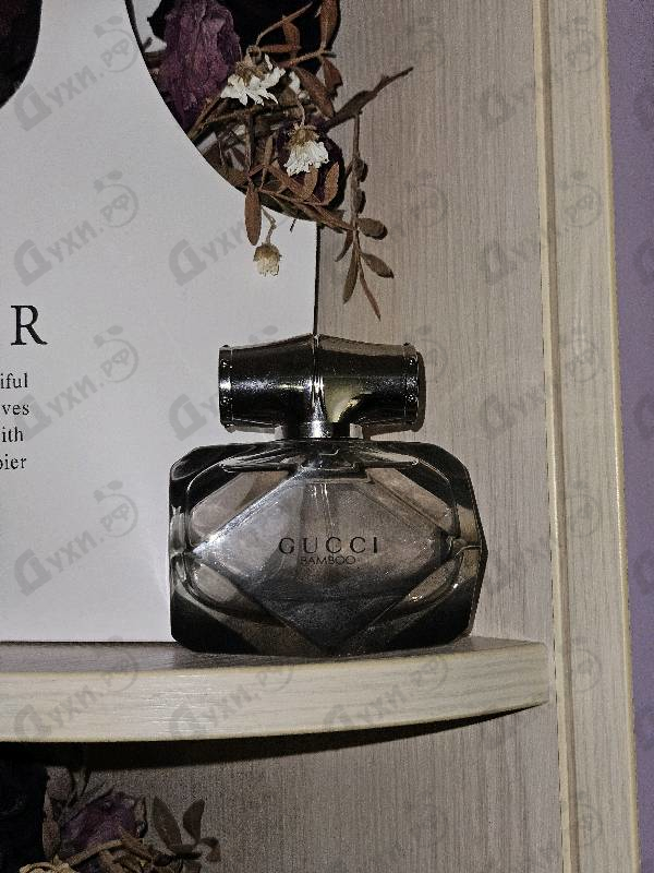 Отзывы Gucci Bamboo