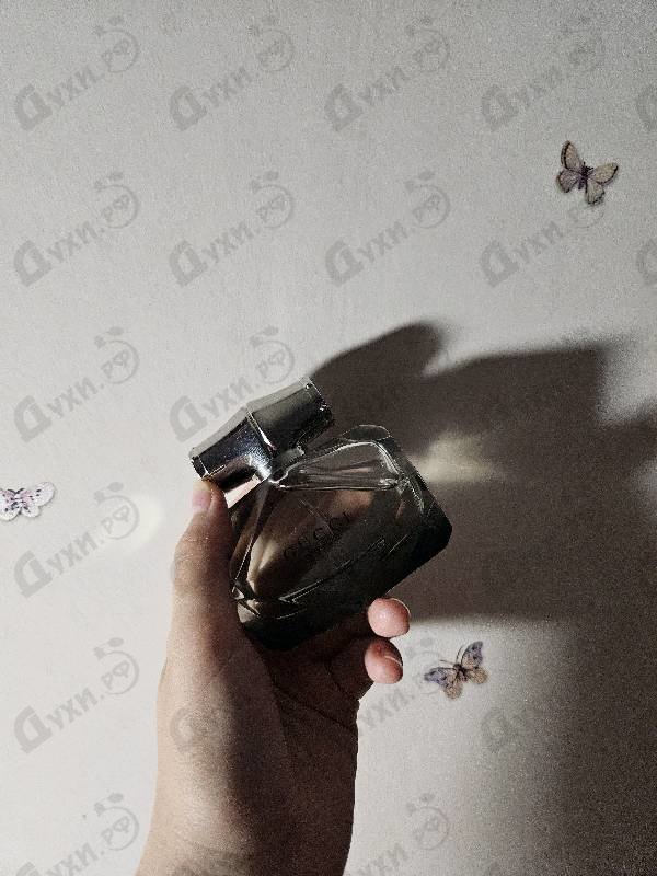 Отзывы Gucci Bamboo